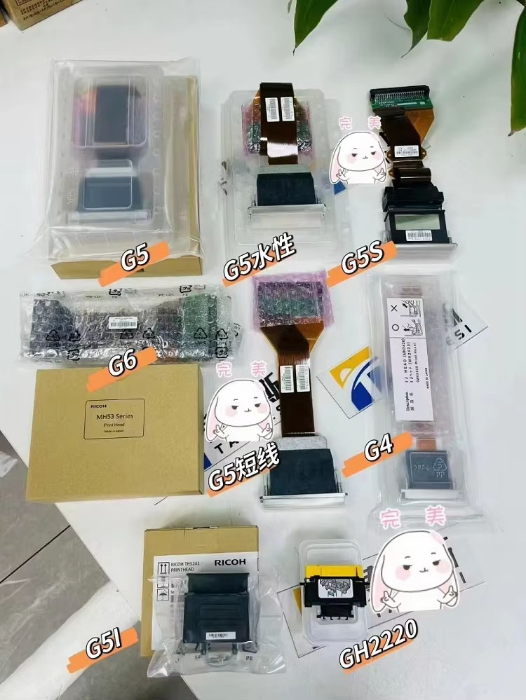 Ricoh GH2220 Printhead